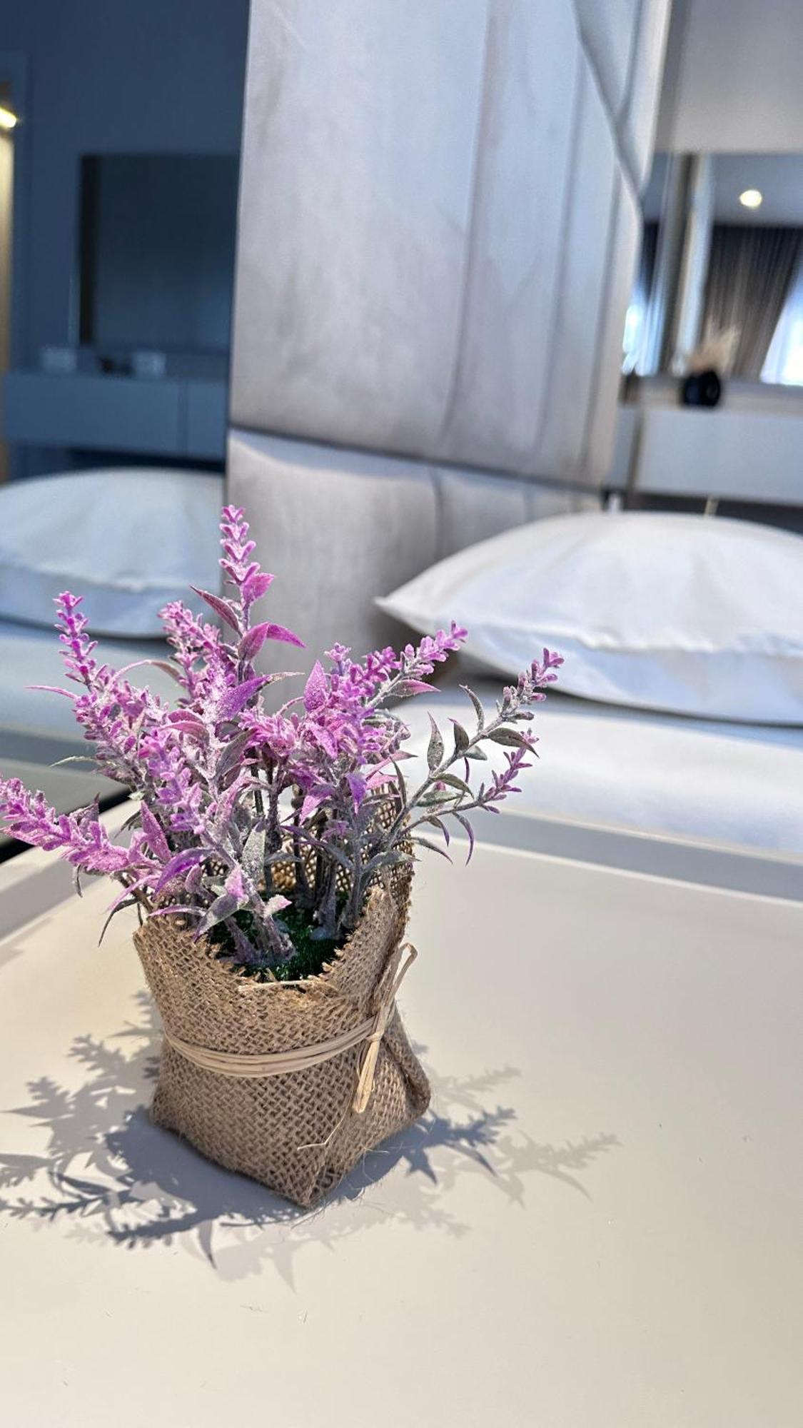 Frida Luxury Apartment Tirana Zewnętrze zdjęcie